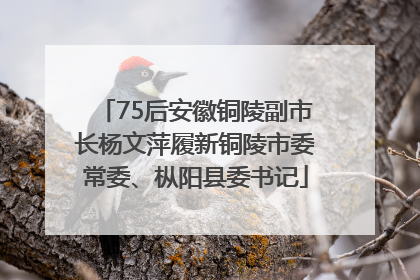 75后安徽铜陵副市长杨文萍履新铜陵市委常委、枞阳县委书记