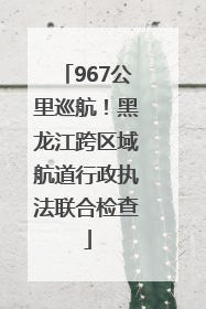967公里巡航！黑龙江跨区域航道行政执法联合检查