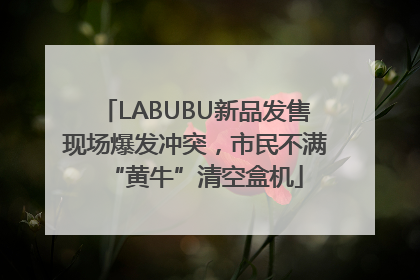 LABUBU新品发售现场爆发冲突，市民不满“黄牛”清空盒机
