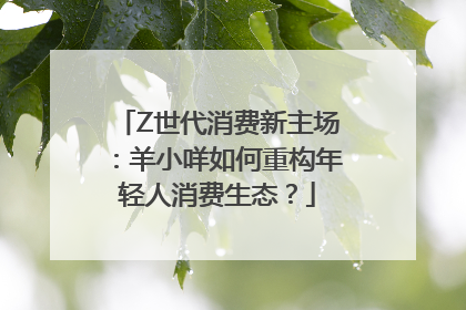 Z世代消费新主场：羊小咩如何重构年轻人消费生态？